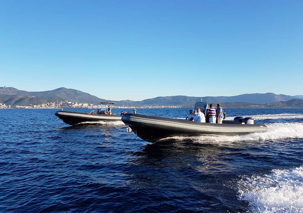 Incentive in Corsica