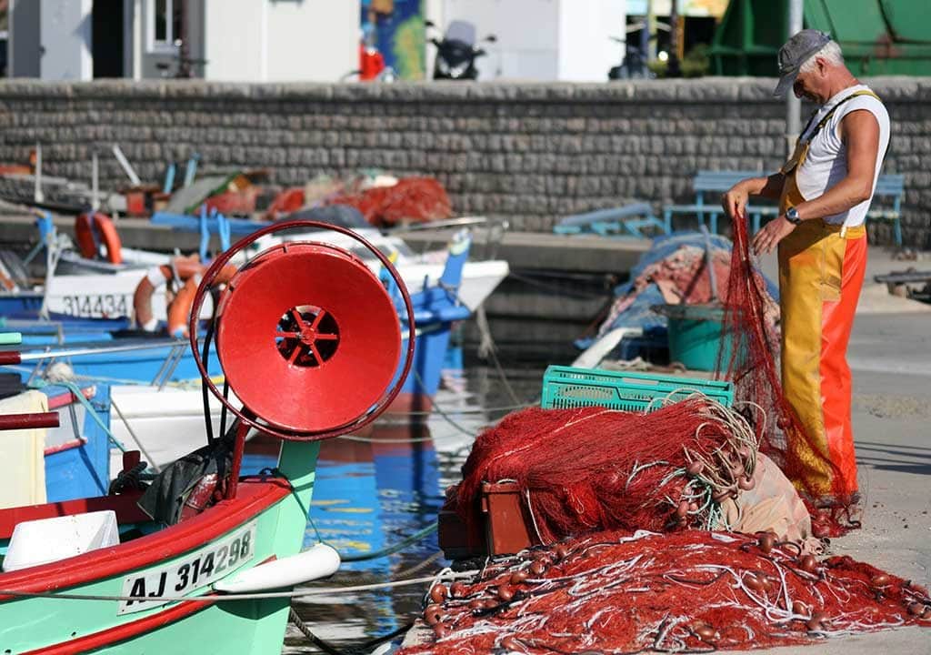 theme evenement peche