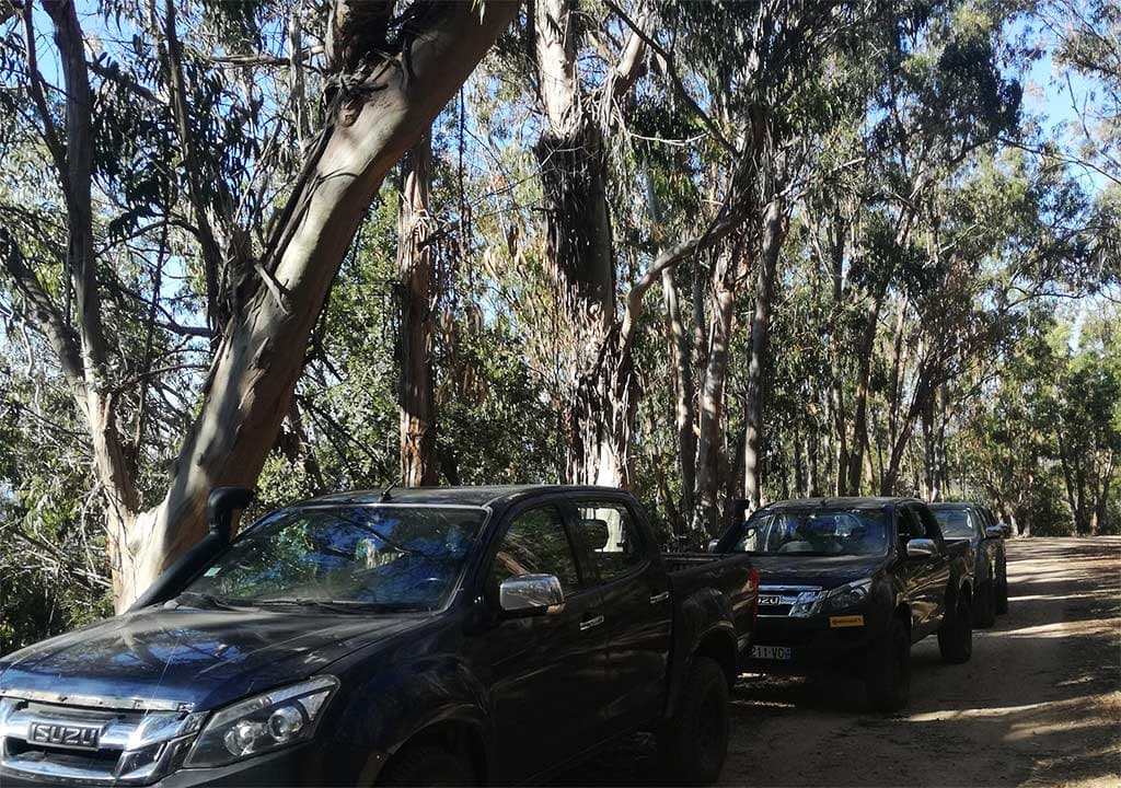 Team building en Corse